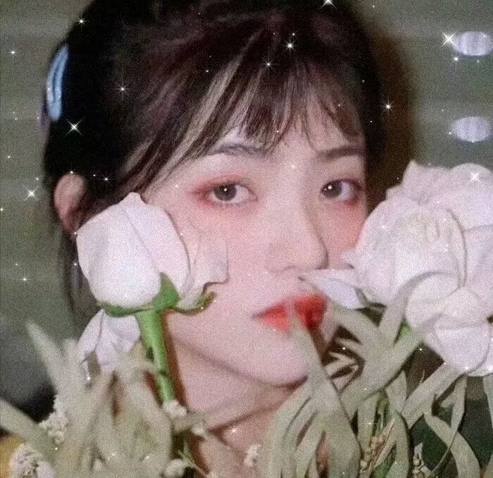 怒放的豆芽